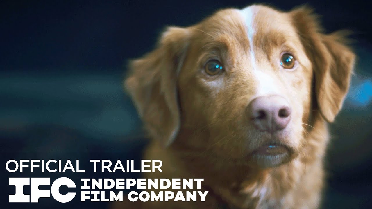 Good Boy Trailer